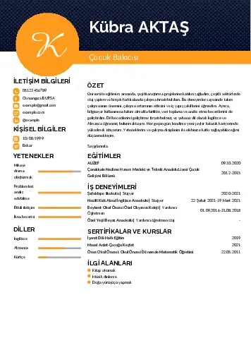 Çocuk Bakıcısı CV Örnekleri cv indir